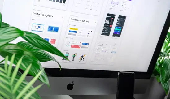 bloom-design