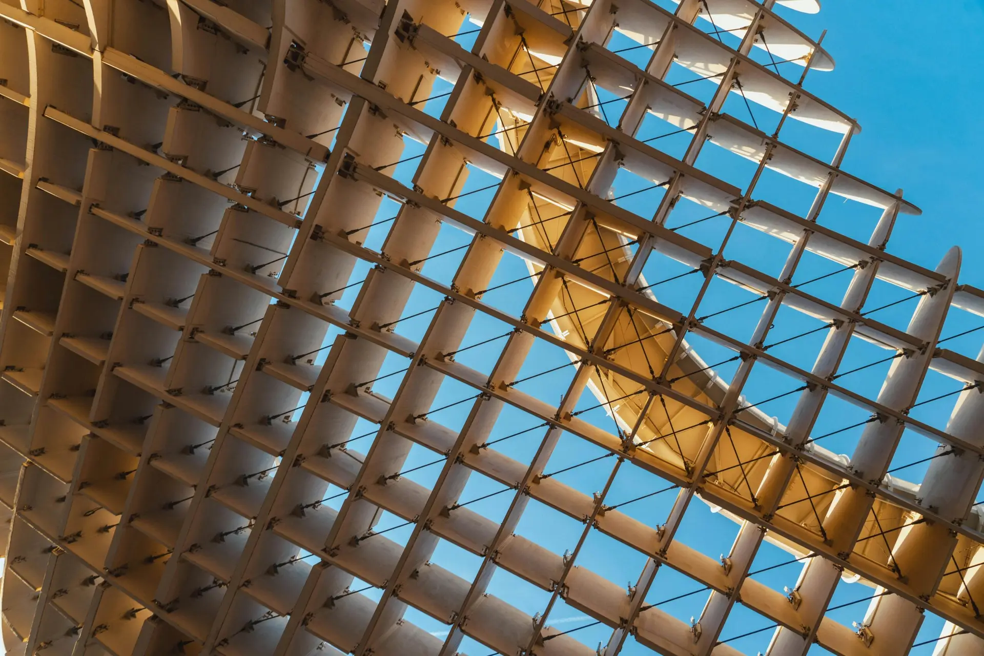 Mesh Structure